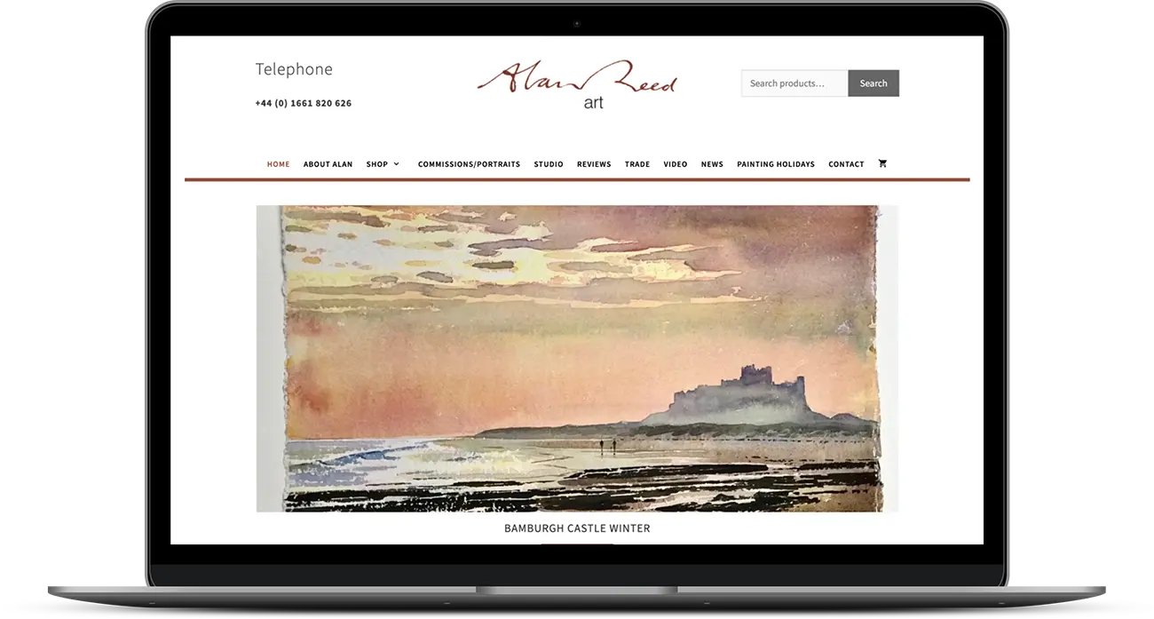 Alan Reed Art, Website Maintenance and Support, Newcastle