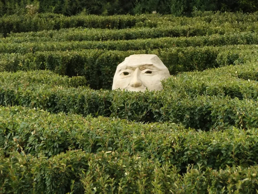 statue peeking from within a hedge maze