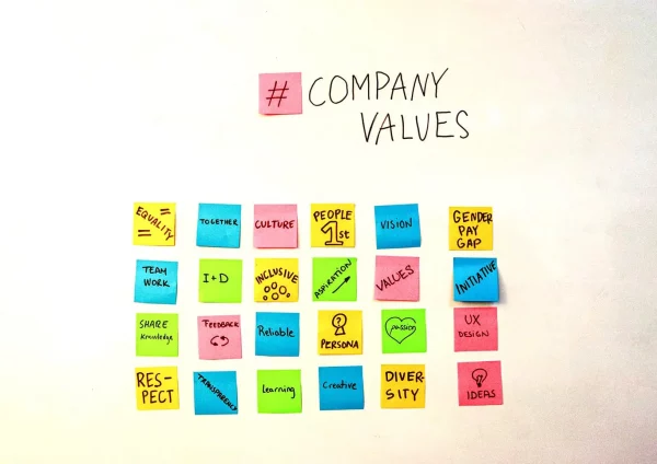 digital marketing strategy - company values and goals