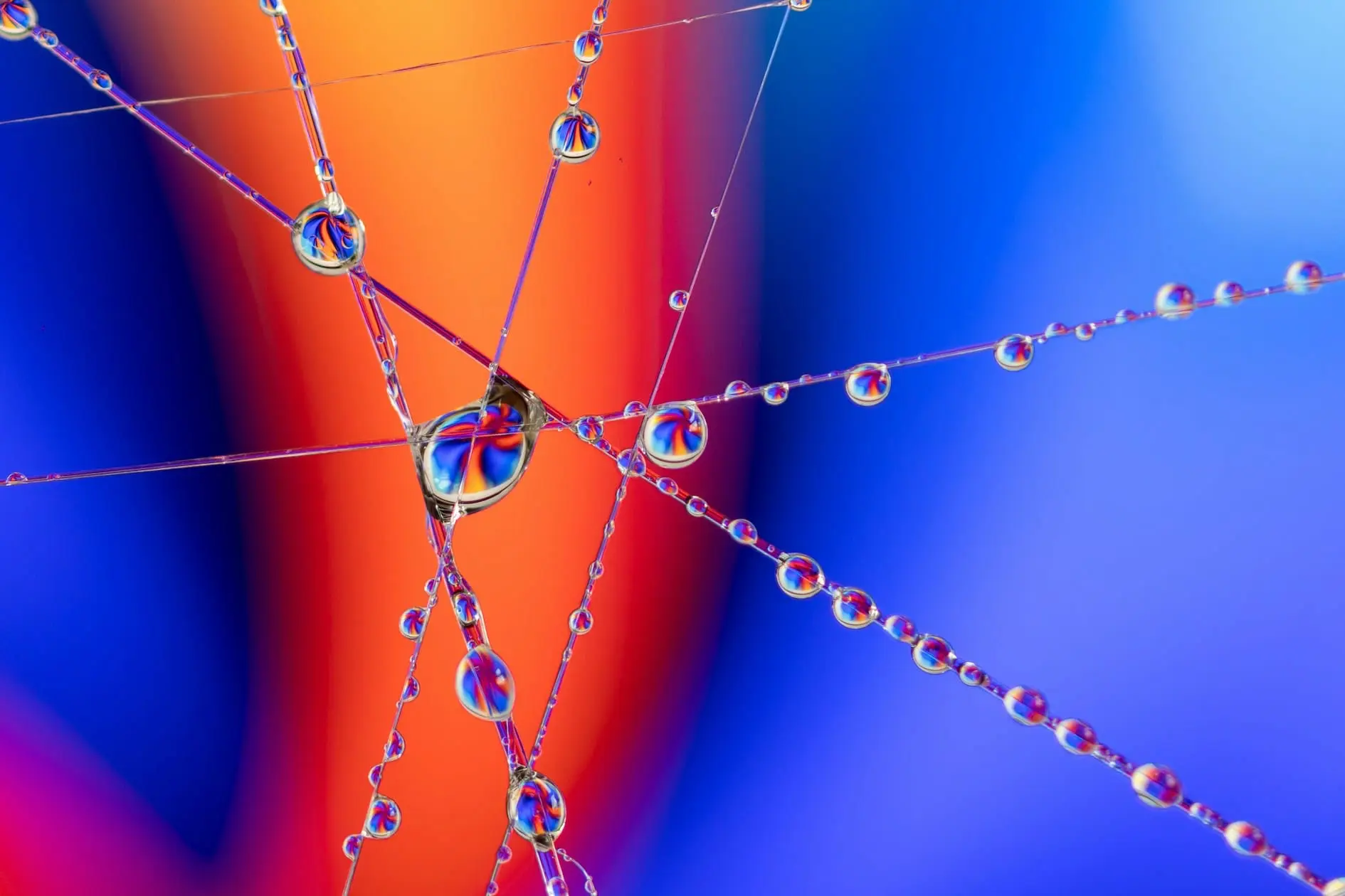 9 ways using business networking can scale your organisation